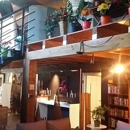 Solopuent Rural מלון קסטילו דה חאקה